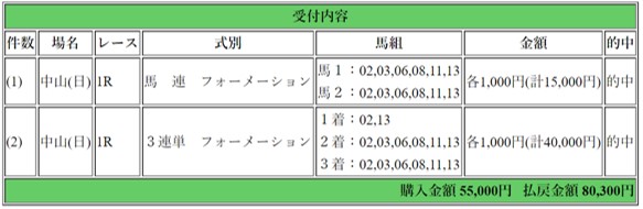 ドリーム万馬券馬券